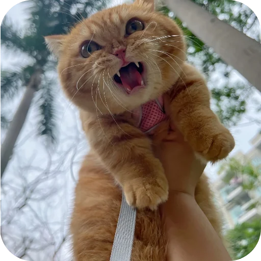 Telegram sticker 👿 Cherryjain61's sticker set