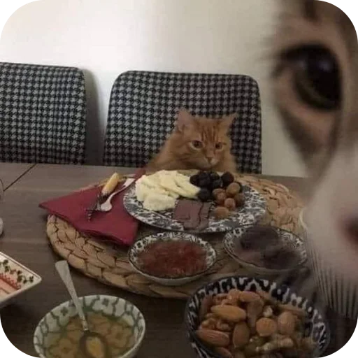 Telegram sticker 🍲 Cherryjain61's sticker set