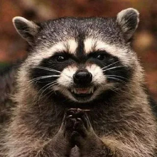 Telegram sticker 😈 Больше стиков тут: @stikery4