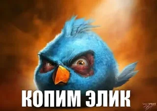 Video sticker ⭐️ Птички @Stikerhi_bot