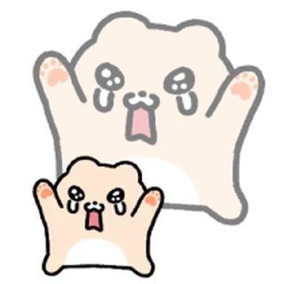 Video sticker ⭐ 와플곰이 나타나따! 5 @moe_sticker_bot