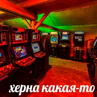 Video sticker 🦆 memovoj zahovor