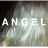 Sticker 🤩 angelic ➜ @emoji1