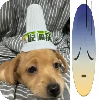 Телеграм стикер 🐶 Больше стиков тут: @stikery4