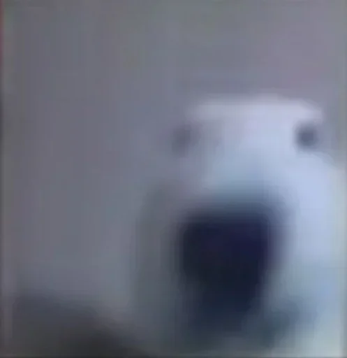 Telegram sticker 😶 real