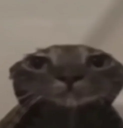 Telegram sticker 🚿 real