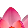 Video sticker 🌺 𓏲ּ ᥫ᭡ @hon...