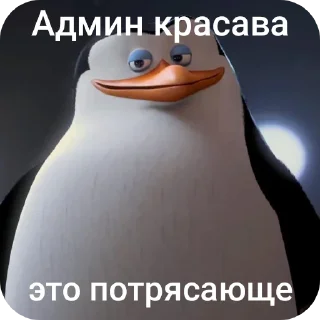 Sticker 🐦 Пингвины и хентай