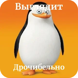 Video sticker 🐦 Пингвины и хентай