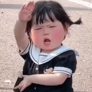 Video sticker 🌟 隔壁佬绍是你爹 :: @fStikBot