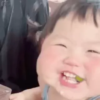 Video sticker 🌟 隔壁佬绍是你爹 :: @fStikBot