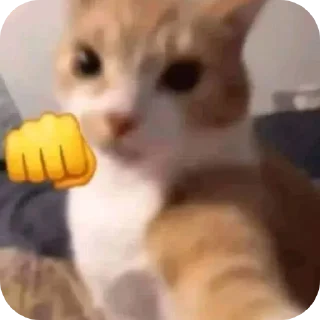 Telegram sticker 🐱 Cats ----- ❄️snow❄️ حقوق