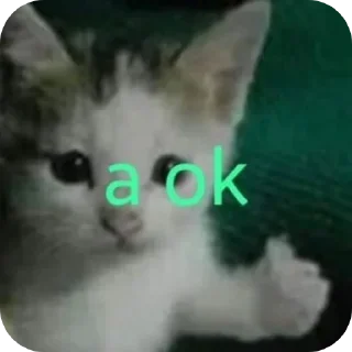 Telegram sticker 🐱 Cats ----- ❄️snow❄️ حقوق