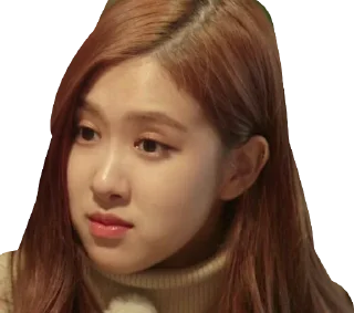 Telegram sticker ☹️ blackpink