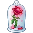 Video sticker 🎁 🥤: @ouoou - @ucucc