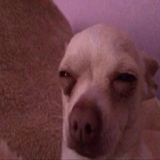 Телеграм стикер 💘 ‹ @YYICC › بحيري بتاع الأستيكرز 🇩🇪