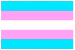 Video sticker 🏳 Pride-Flags