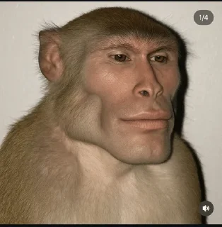 Телеграм стикер 🌟 Aint this peak by @Foreverstar :: @fStikBot