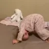 Video sticker 👼 Бонуники :...