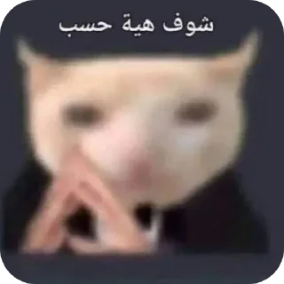 Sticker 🤲 @hm_33 لـ محمد باقر