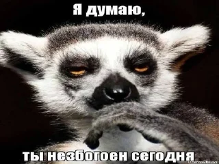 Video sticker 🌟 узбагойся :: @fStikBot