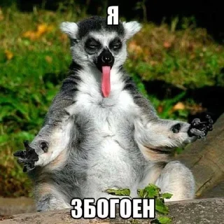 Video sticker 🌟 узбагойся :: @fStikBot