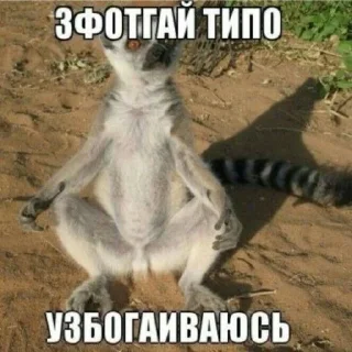 Video sticker 🌟 узбагойся :: @fStikBot