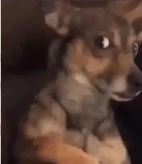 Sticker 🌚 @n_v_u — @stckrRobot