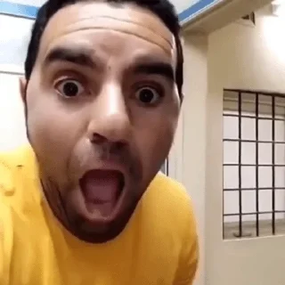 Video sticker 🐜 @n_v_u — @stckrRobot