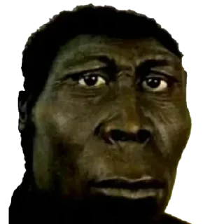 Video sticker 🤨 BASED's kang pack