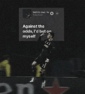 Telegram stiker 🌟 Exceptional Quokka :: @fStikBot