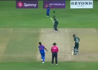 Video sticker 🌟 Exceptional Quokka :: @fStikBot