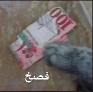 Video sticker 😏 ســَوير🍉