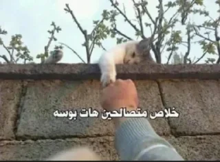 Telegram sticker 😒 ســَوير🍉