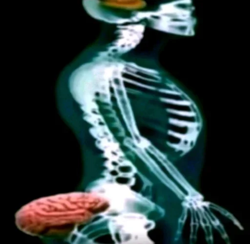 Telegram sticker 🥴 @babaksuniverse ورژن دوم