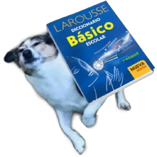 Telegram sticker ✍ DICCIONARIO - [Instagram: @WiStickers]