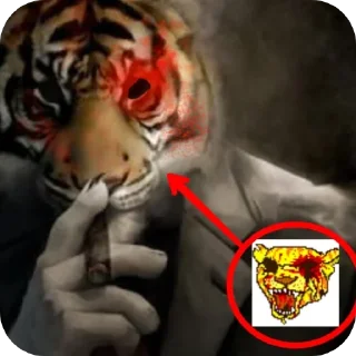 Telegram sticker 👍 @Imzoro_o