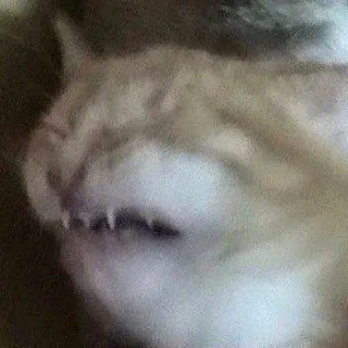 Telegram sticker 😱 кератиновый нос by @fStikBot