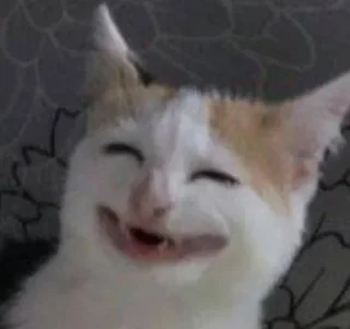 Telegram sticker 😃 кератиновый нос by @fStikBot