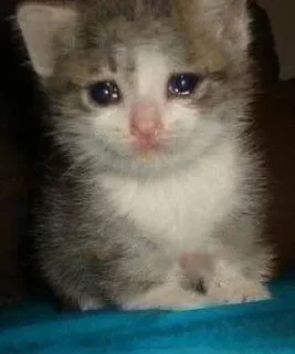 Telegram sticker 😢 кератиновый нос by @fStikBot