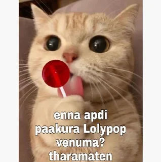 Video sticker 😂 @itz_Me_Malayali Vol.1