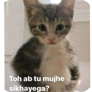 Telegram sticker 🍎 𝐕𝐑𝐓𝐗 𝐩𝐚𝐜𝐤