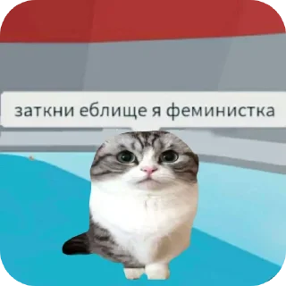 Video sticker 🐱 К СЛОВУ БЛЯ ЧЕЛ ТЫ ДАЛБАЕБ) я худой и красивый