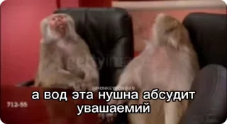 Video sticker 🌟 я питар