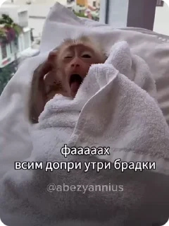 Video sticker 🌟 я питар