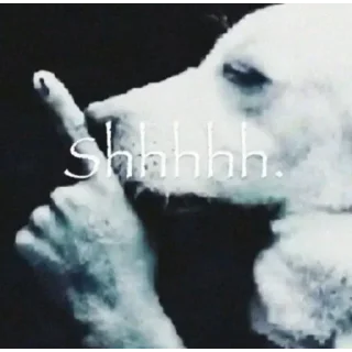 Video sticker 🌾 Join @randomchatsenglish ..