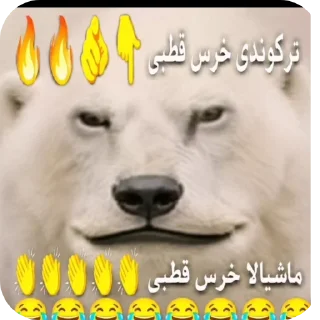 Telegram sticker 👍 ترکوندی پسر 👏👏😹😹@ALIONEditzzz