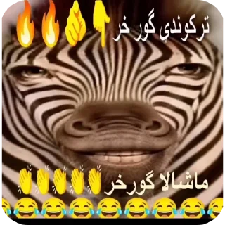 Telegram sticker 👍 ترکوندی پسر 👏👏😹😹@ALIONEditzzz