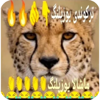 Telegram sticker 👍 ترکوندی پسر 👏👏😹😹@ALIONEditzzz