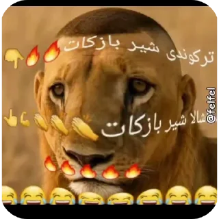 Telegram sticker 👍 ترکوندی پسر 👏👏😹😹@ALIONEditzzz